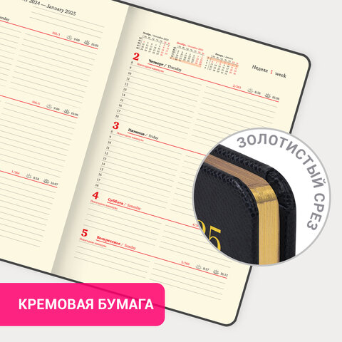 Еженедельник датированный 2025, А5, 145х215 мм, BRAUBERG "Iguana", под