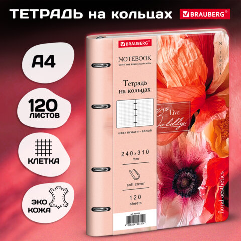 Тетрадь на кольцах БОЛЬШАЯ А4 240х310 120л, под кожу, BRAUBERG VISTA, Пейзаж,