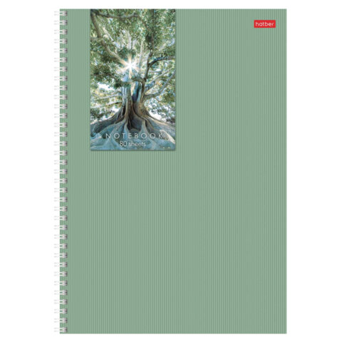 Тетрадь А4 80 л,. HATBER, гребень, клетка, матовая ламинация, цветной срез, Тетрадь А4 80 л,. HATBER, гребень, клетка, матовая ламинация, цветной срез,