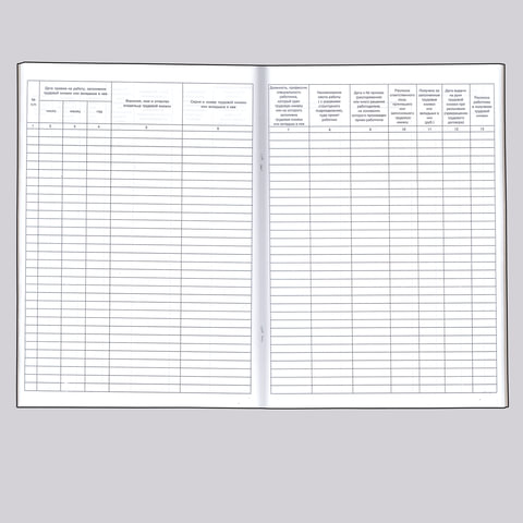 Книга учета движения трудовых книжек и вкладышей к ним, 48 л., картон, блок