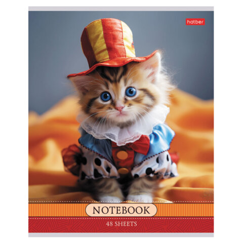 Тетрадь А5 48 л., HATBER скоба, клетка, обложка картон, Тетрадь А5 48 л., HATBER скоба, клетка, обложка картон,