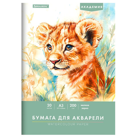 Папка для акварели БОЛЬШАЯ А3, 20 л., 200 г/м2, 297х420 мм, BRAUBERG АКАДЕМИЯ, Папка для акварели БОЛЬШАЯ А3, 20 л., 200 г/м2, 297х420 мм, BRAUBERG АКАДЕМИЯ,