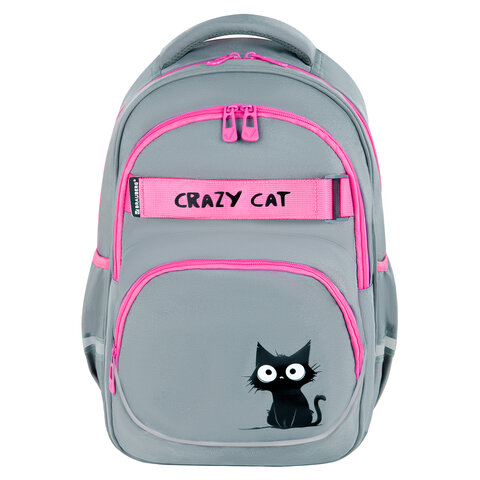 Рюкзак BRAUBERG MOTION, 2 отделения, 3 кармана, "Crazy cat", 41х28х17
