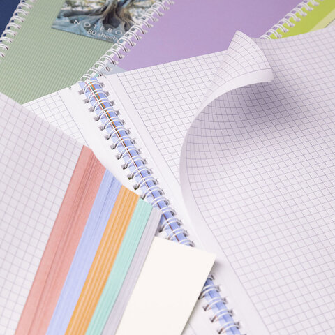 Тетрадь А4 80 л,. HATBER, гребень, клетка, матовая ламинация, цветной срез, Тетрадь А4 80 л,. HATBER, гребень, клетка, матовая ламинация, цветной срез,