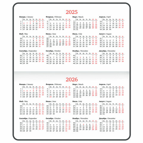 Еженедельник датированный 2025 МАЛЫЙ ФОРМАТ 95х155 мм А6, BRAUBERG