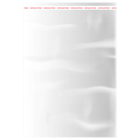 Пакеты БОПП с клеевым клапаном, КОМПЛЕКТ 100 штук, 20х25 + 4 см, 30 мкм, с