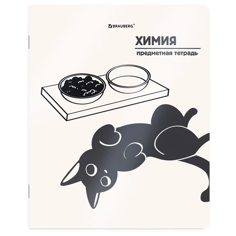 Тетрадь предметная КОТ-НЕПОСЕДА 48 л., пластиковая обложка, ХИМИЯ, клетка, Тетрадь предметная КОТ-НЕПОСЕДА 48 л., пластиковая обложка, ХИМИЯ, клетка,