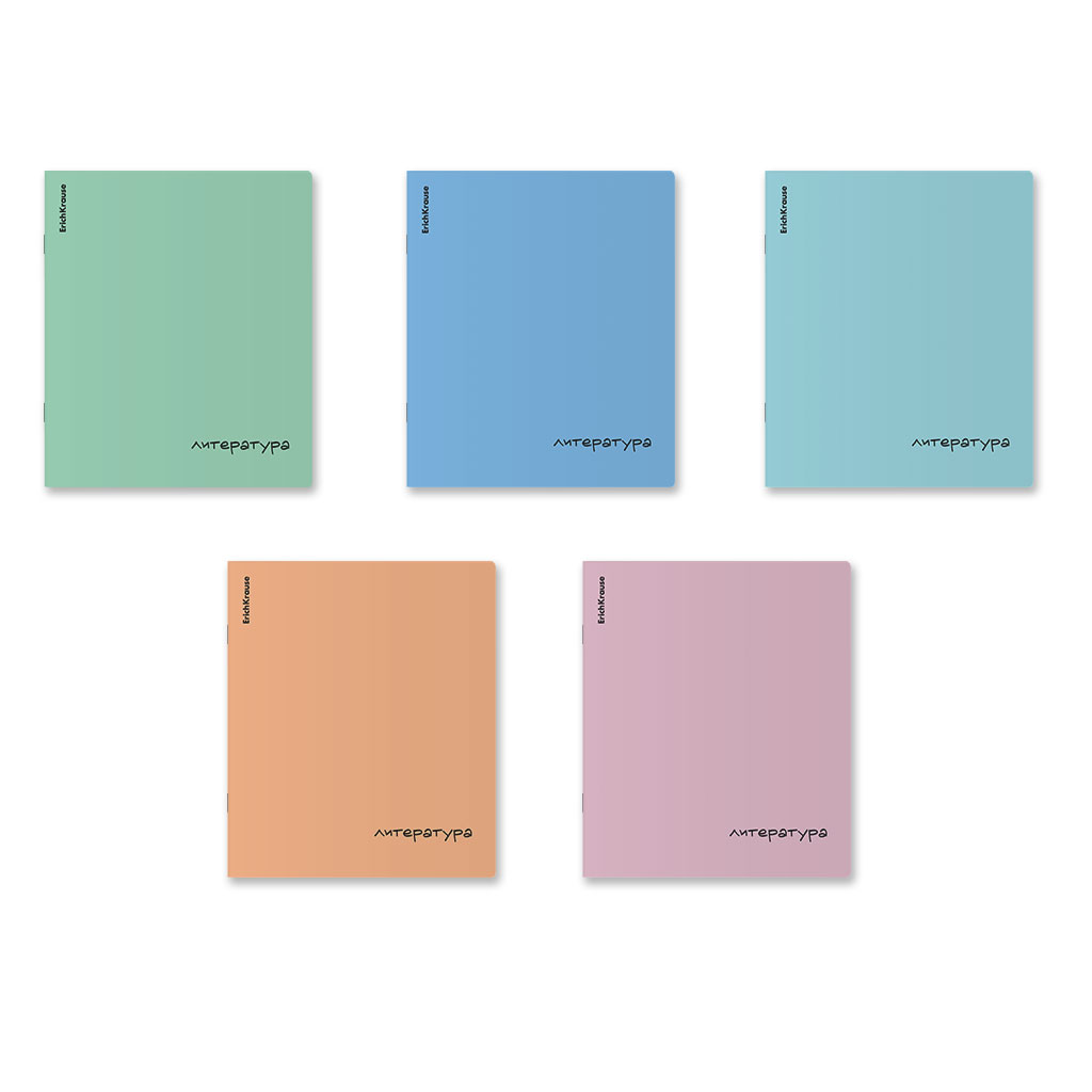 Тетрадь общая ученическая с пластиковой обложкой на скобе ErichKrause Dream, Тетрадь общая ученическая с пластиковой обложкой на скобе ErichKrause Dream,