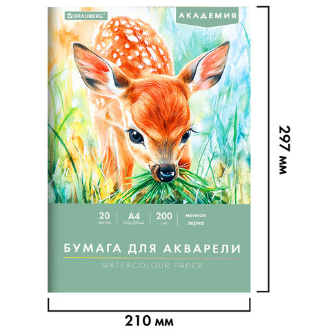 Папка для акварели А4, 20 л., 200 г/м2, 210х297 мм, BRAUBERG АКАДЕМИЯ, Папка для акварели А4, 20 л., 200 г/м2, 210х297 мм, BRAUBERG АКАДЕМИЯ,