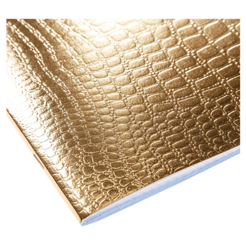 Тетрадь бумвинил А5 48 л., скоба, офсет №1, клетка, с полями, "ЗОЛОТО Тетрадь бумвинил А5 48 л., скоба, офсет №1, клетка, с полями, "ЗОЛОТО