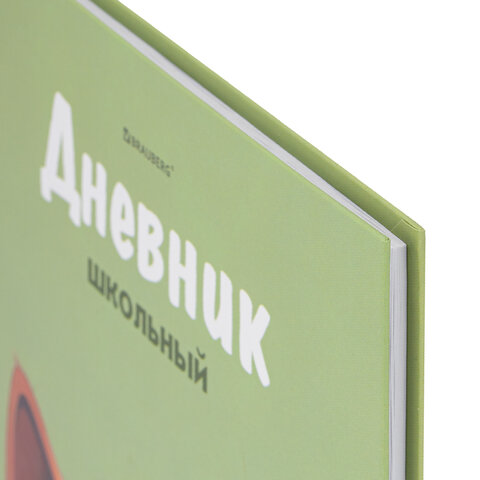 Дневник 5-11 класс 48 л., твердый, BRAUBERG, выборочный лак, с подсказом,