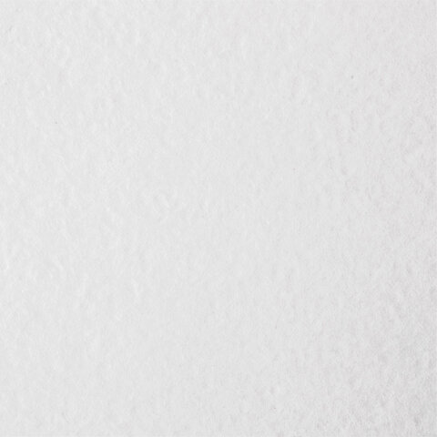 Бумага для акварели А4 в коробке, 40 листов, 200 г/м2, среднее зерно, BRAUBERG