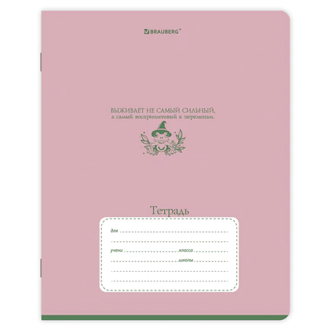 Тетради ДЭК 12 л., КОМПЛЕКТ 10 шт., BRAUBERG, косая линия, обложка картон, Тетради ДЭК 12 л., КОМПЛЕКТ 10 шт., BRAUBERG, косая линия, обложка картон,
