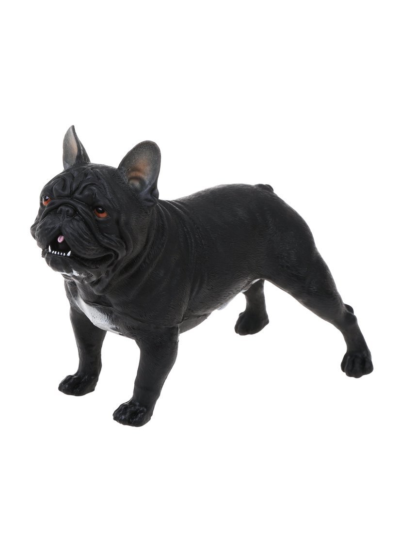 Собака Собака