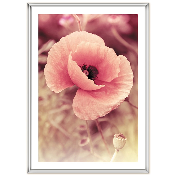 Фоторамка пластиковая 10Х15 см poster silver /12 Фоторамка пластиковая 10Х15 см poster silver /12