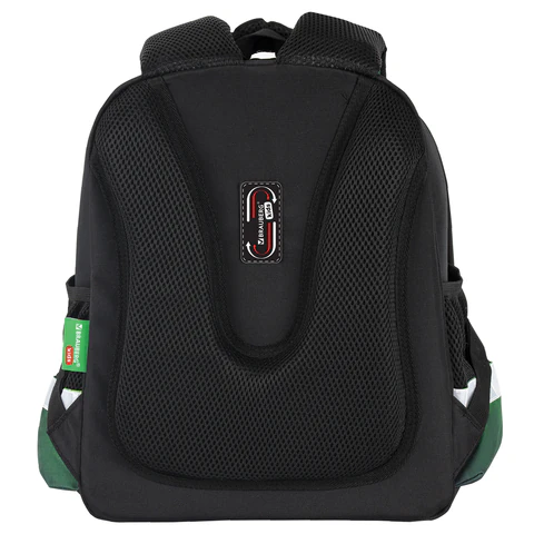 Ранец BRAUBERG KIDS STANDARD, 2 отделения, "Зеленый город", 36х28х14