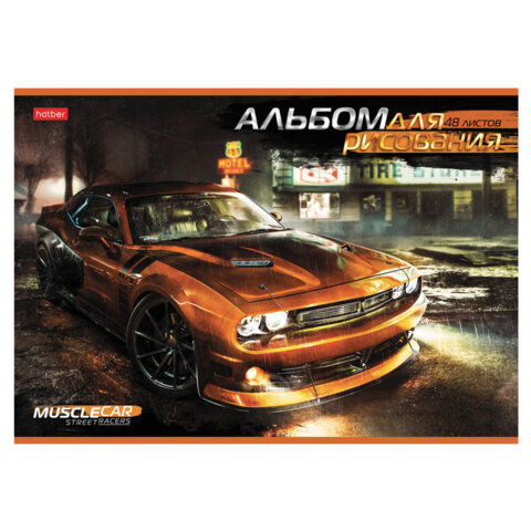 Альбом для рисования А4 48 л., скоба, обложка картон, HATBER, 205х290 мм,