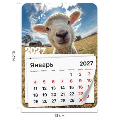 Календарь отрывной на магните на 2027 г., BRAUBERG, 130x180 мм, склейка,