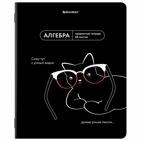 Тетради предметные, КОМПЛЕКТ 12 ПРЕДМЕТОВ, 48 л., TWIN лак, BRAUBERG