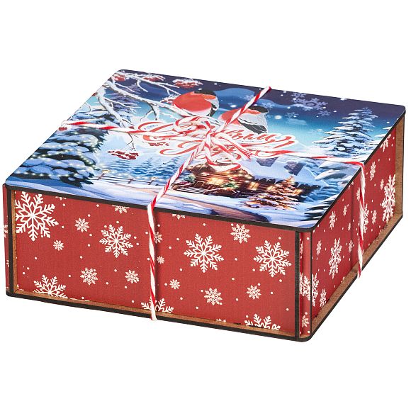 Январские птицы (большая) Январские птицы (большая)