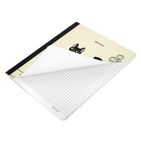 Тетрадь А5 96 л. BRAUBERG, на сшивке с корешком, клетка, обложка картон,