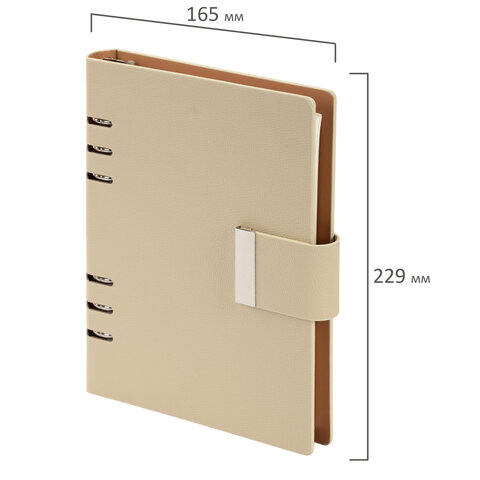 Ежедневник на кольцах в наборе с ручкой А5, 165x229 мм, BRAUBERG