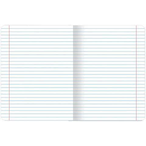 Тетрадь предметная COLOR 48 листов, матовая ламинация, лак, 70г/м, ЛИТЕРАТУРА,