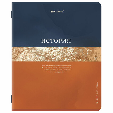 Тетради предметные, КОМПЛЕКТ 12 ПРЕДМЕТОВ, 48 л., матовая ламинация, фольга,