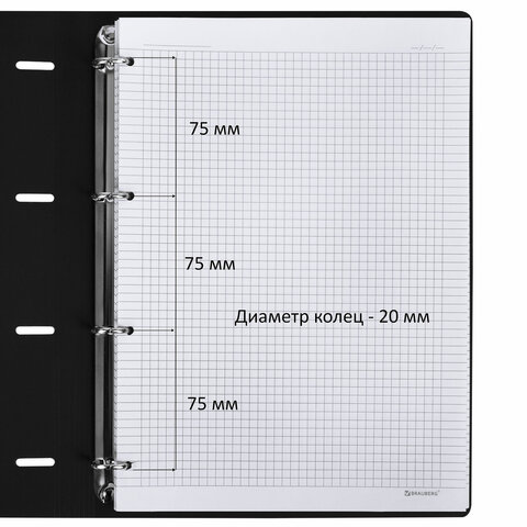 Тетрадь на кольцах БОЛЬШАЯ А4 (240х310 мм), 120 л., под кожу, BRAUBERG VISTA,