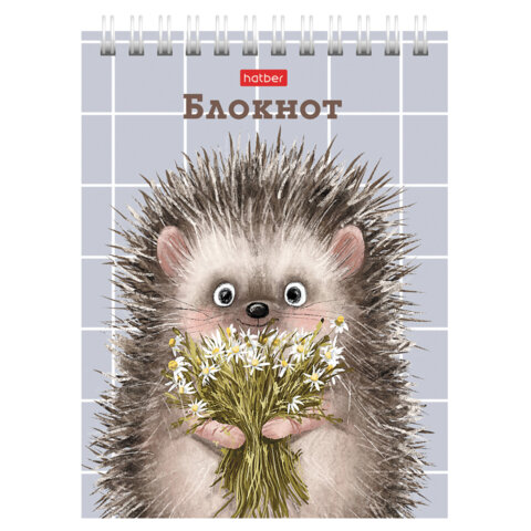 Блокнот МАЛЫЙ ФОРМАТ А6, 40 л., гребень, картон, клетка, HATBER, "Хорошо