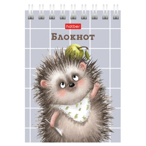 Блокнот МАЛЫЙ ФОРМАТ А7, 40 л., гребень, картон, клетка, HATBER, "Хорошо Блокнот МАЛЫЙ ФОРМАТ А7, 40 л., гребень, картон, клетка, HATBER, "Хорошо