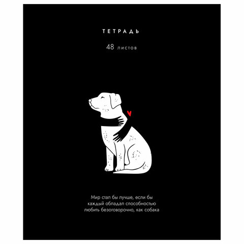 Тетрадь А5 48 л. ПЗБМ, скоба, клетка, матовая ламинация, брайль, "Всё, что