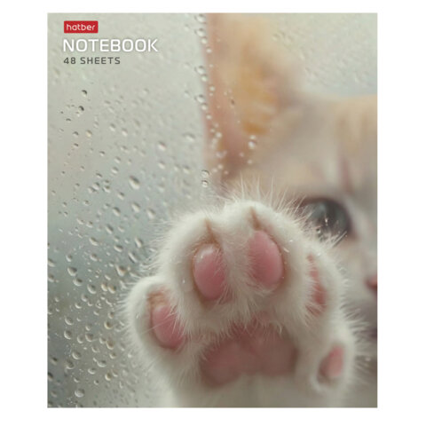 Тетрадь А5 48 л., HATBER скоба, клетка, обложка картон, "Розовые Тетрадь А5 48 л., HATBER скоба, клетка, обложка картон, "Розовые