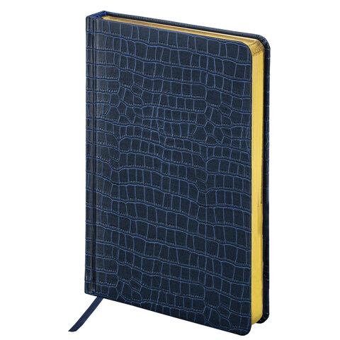 Ручка шариковая PARKER "Jotter Core Stainless Steel GT", ежедневник А5 Ручка шариковая PARKER "Jotter Core Stainless Steel GT", ежедневник А5