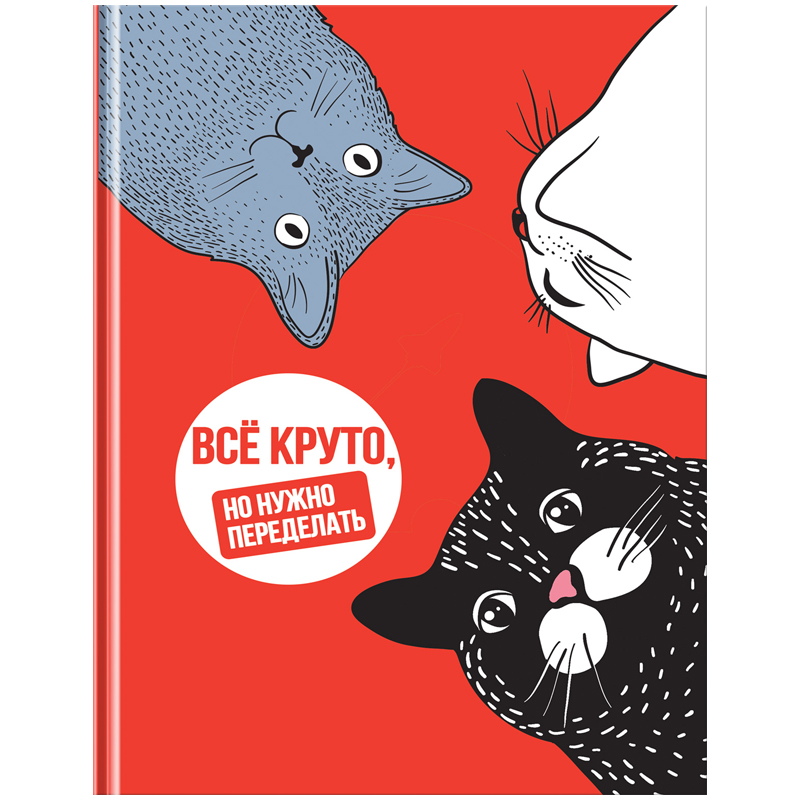 Бизнес-блокнот А5, 80л., BG "Котоприкол", матовая ламинация,