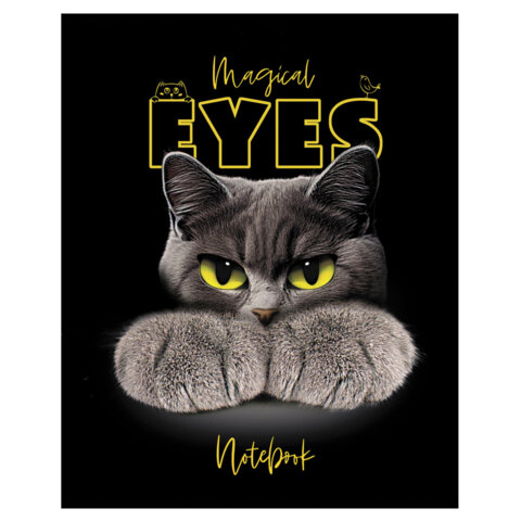 Тетрадь А5 48 л., HATBER скоба, клетка, матовая ламинация, 3D-лак, Тетрадь А5 48 л., HATBER скоба, клетка, матовая ламинация, 3D-лак,