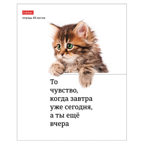 Тетрадь А5 48 л., HATBER скоба, клетка, обложка картон, "Котоюмор" Тетрадь А5 48 л., HATBER скоба, клетка, обложка картон, "Котоюмор"