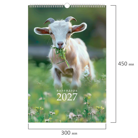 Календарь на гребне с ригелем 2027 г., 30x45 см, BRAUBERG, "Символ Календарь на гребне с ригелем 2027 г., 30x45 см, BRAUBERG, "Символ