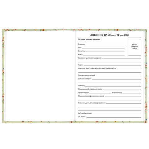 Дневник 1-11 класс 40 л., твердый, BRAUBERG, матовая ламинация,