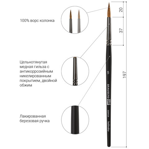 Кисть художественная проф. BRAUBERG ART CLASSIC, колонок, круглая, № 5, короткая