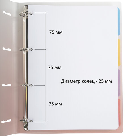 Тетрадь на кольцах БОЛЬШАЯ 305х230мм А4, 120л, пластик, с разделителями,