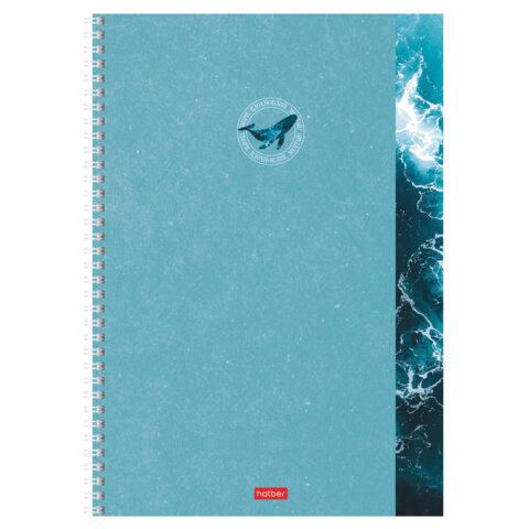 Тетрадь А4 96 л., HATBER, гребень, клетка, обложка картон, "Вдохновение