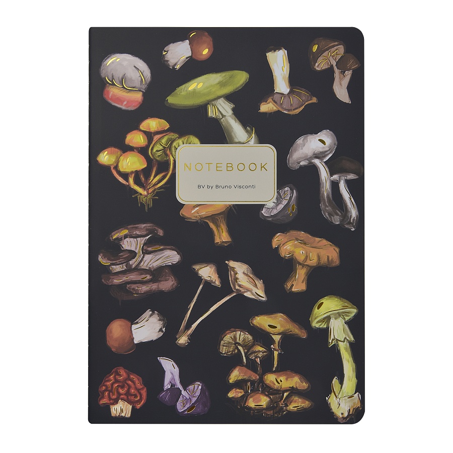 ТЕТРАДЬ А5, Bruno Visconti "FLORA.Грибная феерия", 40л. линейка ТЕТРАДЬ А5, Bruno Visconti "FLORA.Грибная феерия", 40л. линейка