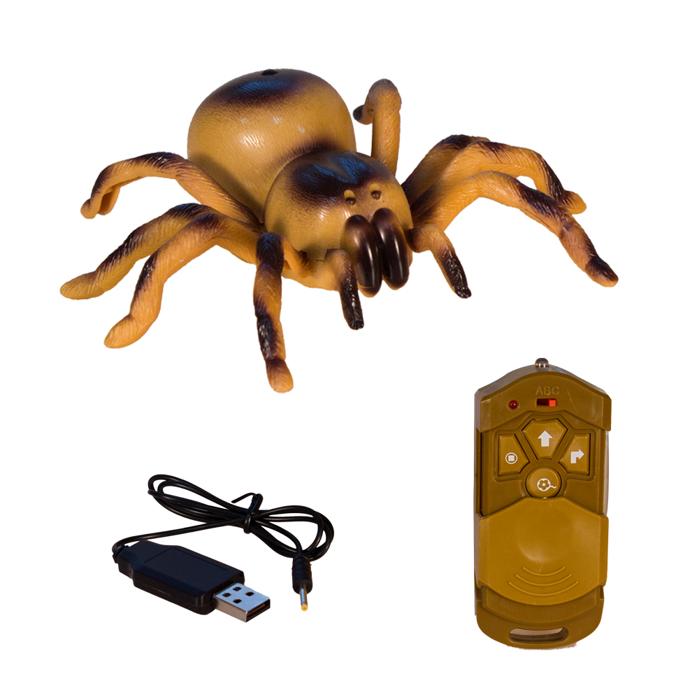 Паук