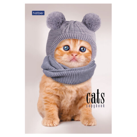 Блокнот МАЛЫЙ ФОРМАТ А6, 40 л., склейка, мелованная бумага, клетка, глянцевая