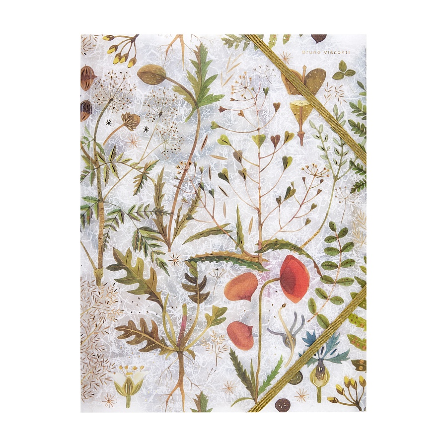 ПАПКА ФАЙЛ НА РЕЗИНКЕ "FLORA.ЛУГОВЫЕ ТРАВЫ", А4 ПАПКА ФАЙЛ НА РЕЗИНКЕ "FLORA.ЛУГОВЫЕ ТРАВЫ", А4