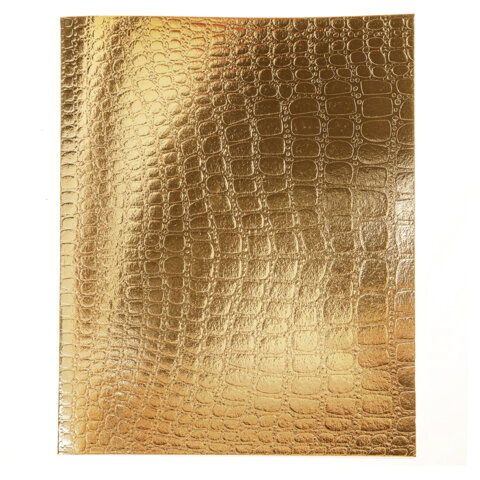 Тетрадь бумвинил А5 48 л., скоба, офсет №1, клетка, с полями, "ЗОЛОТО Тетрадь бумвинил А5 48 л., скоба, офсет №1, клетка, с полями, "ЗОЛОТО