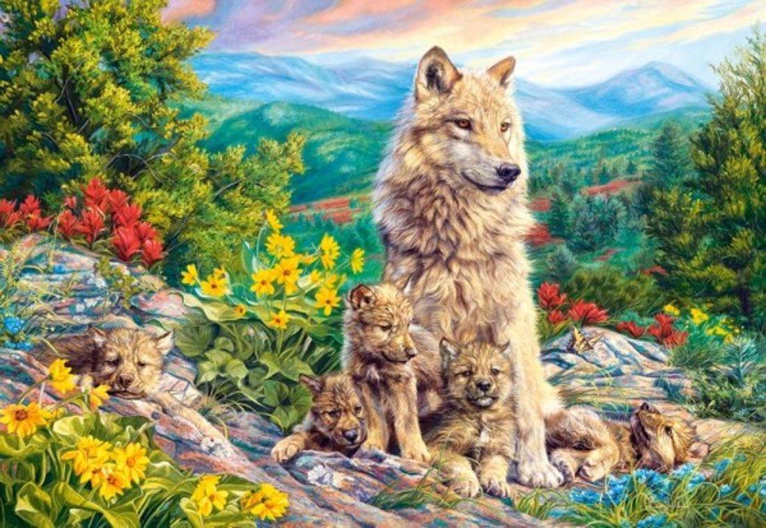 Castorland Puzzle 1000 волк