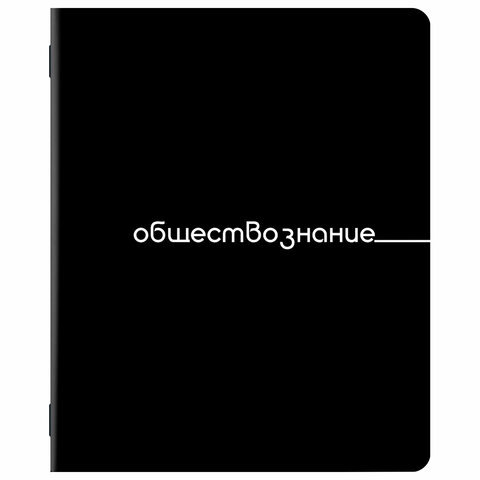 Тетради предметные, КОМПЛЕКТ 12 ПРЕДМЕТОВ, 48 л., обложка картон, BRAUBERG