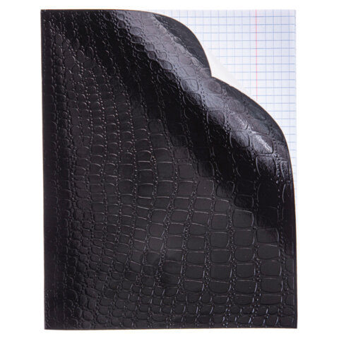 Тетрадь бумвинил А5 48 л., скоба, офсет №1, клетка, с полями, "ЧЕРНАЯ Тетрадь бумвинил А5 48 л., скоба, офсет №1, клетка, с полями, "ЧЕРНАЯ